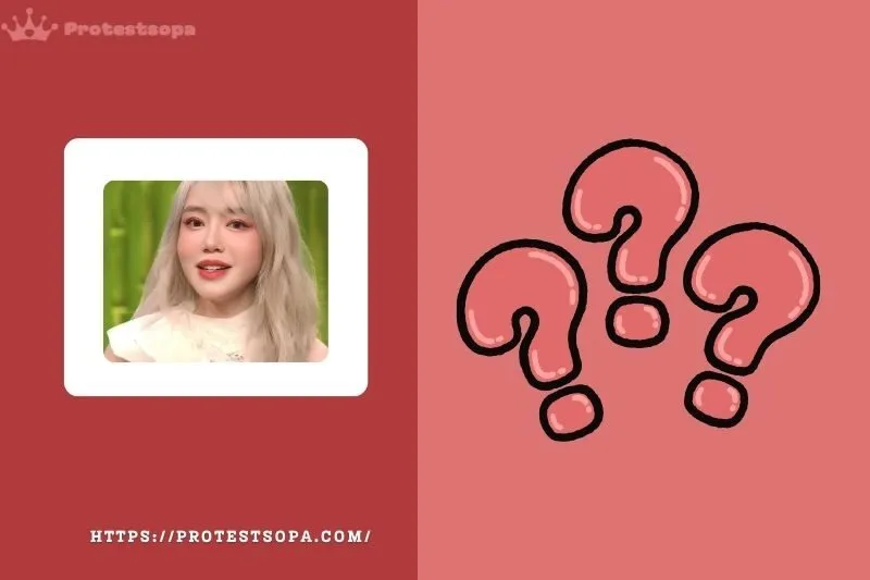 Câu hỏi liên quan về Elly Trần