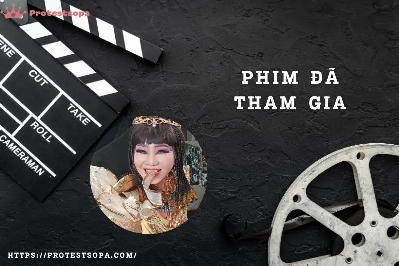 Phim đã tham gia của diễn viên Hoàng Trinh
