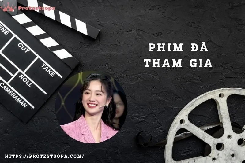 Phim đã tham gia của diễn viên Jun Vũ