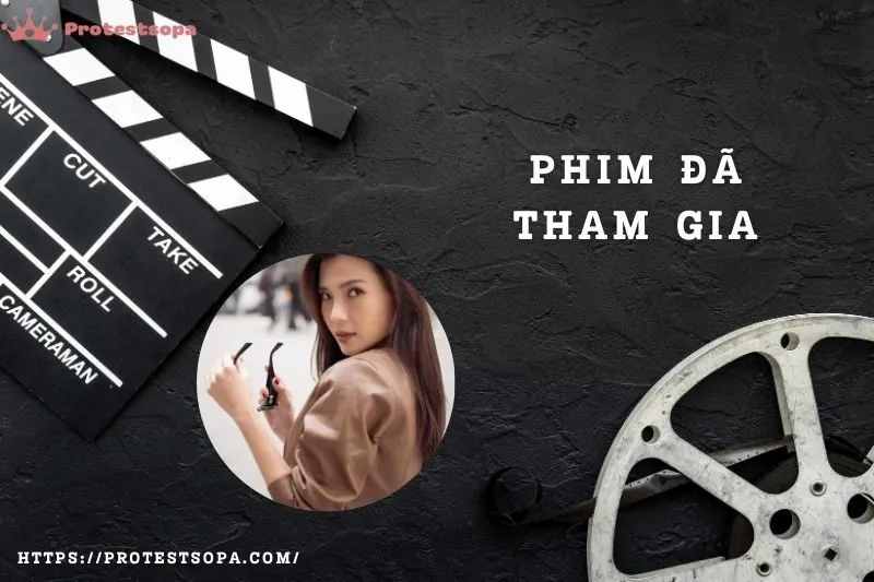 Phim đã tham gia của diễn viên Thúy Diễm
