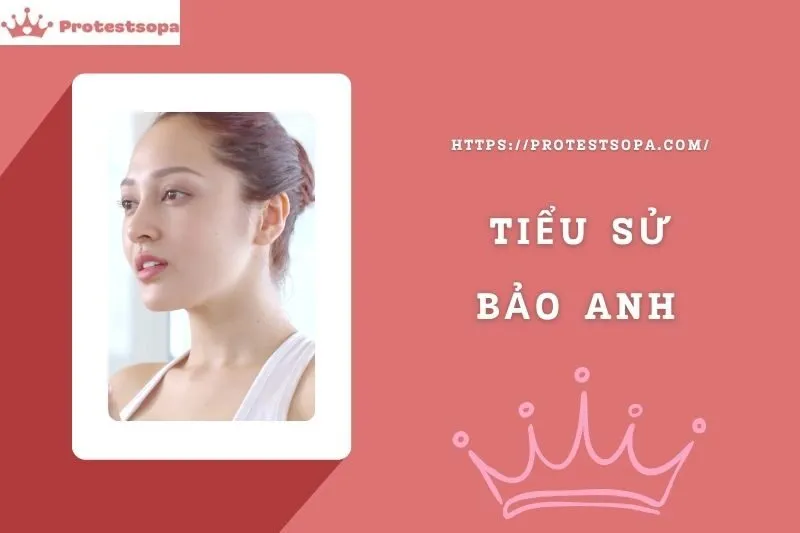 Tiểu Sử Bảo Anh: Đời Tư Sự Nghiệp Nổi Bật