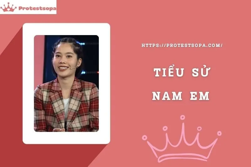 Tiểu Sử Nam Em: Đời Tư Sự Nghiệp Nổi Bật