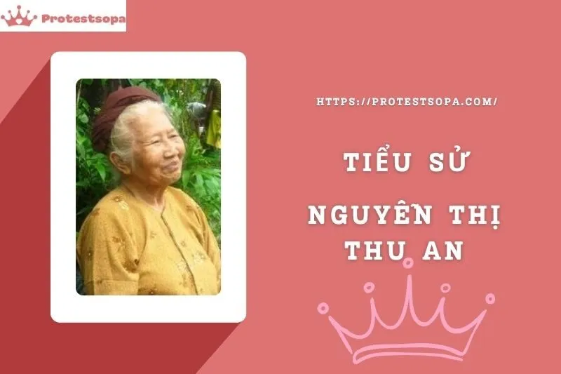 Tiểu Sử Nguyễn Thị Thu An: Đời Tư Sự Nghiệp Nổi Bật