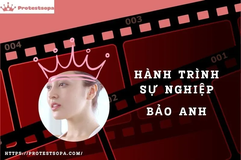 Tổng Quan Hành Trình Sự Nghiệp Bảo Anh