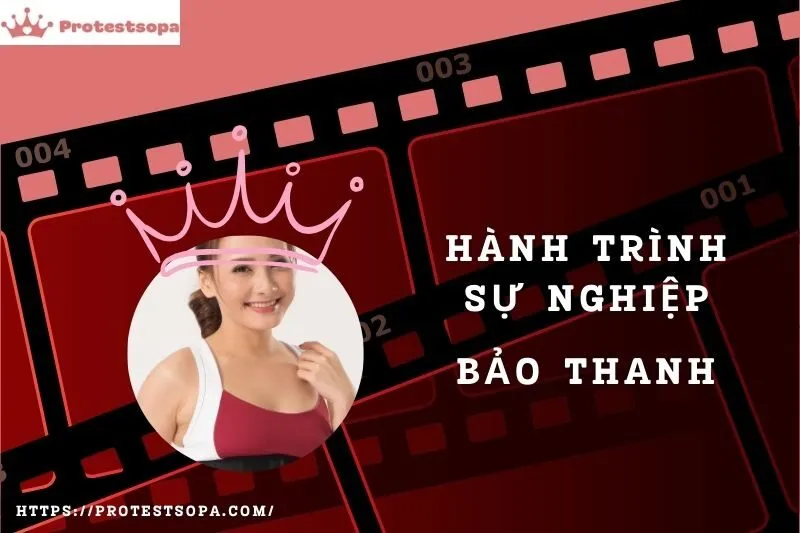 Tổng Quan Hành Trình Sự Nghiệp Bảo Thanh