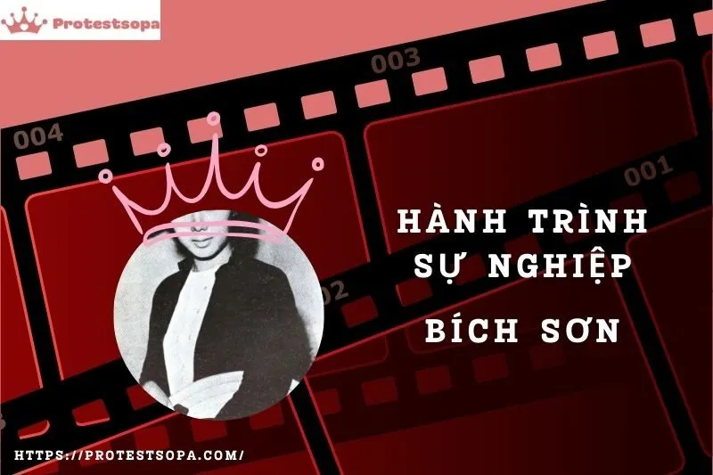 Tổng Quan Hành Trình Sự Nghiệp Bích Sơn