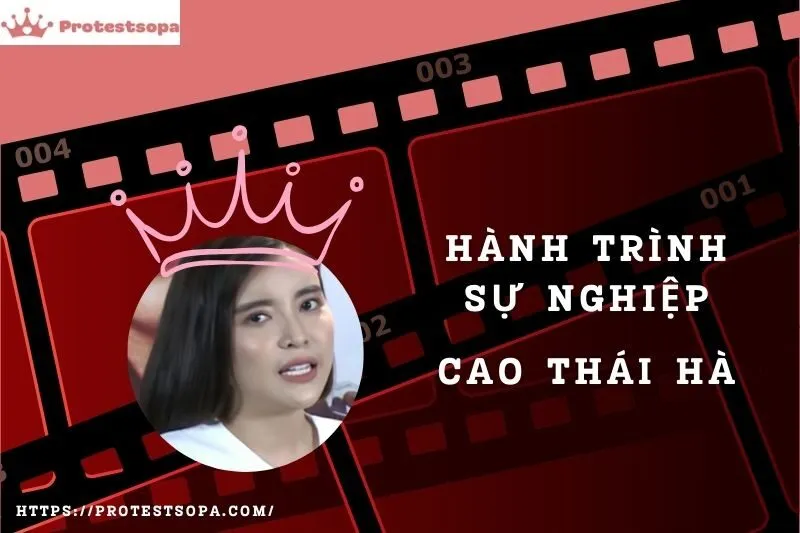 Tổng Quan Hành Trình Sự Nghiệp Cao Thái Hà