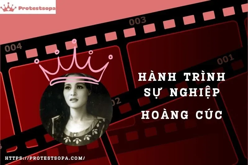 Tổng Quan Hành Trình Sự Nghiệp Hoàng Cúc