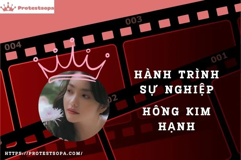 Tổng Quan Hành Trình Sự Nghiệp Hồng Kim Hạnh