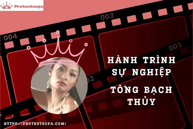 Tổng Quan Hành Trình Sự Nghiệp Tống Bạch Thủy