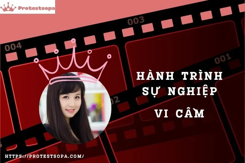 Tổng Quan Hành Trình Sự Nghiệp Vi Cầm