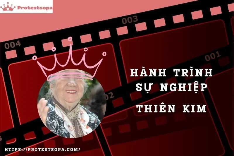 Tổng Quan Hành Trình Sự Nghiệp Thiên Kim