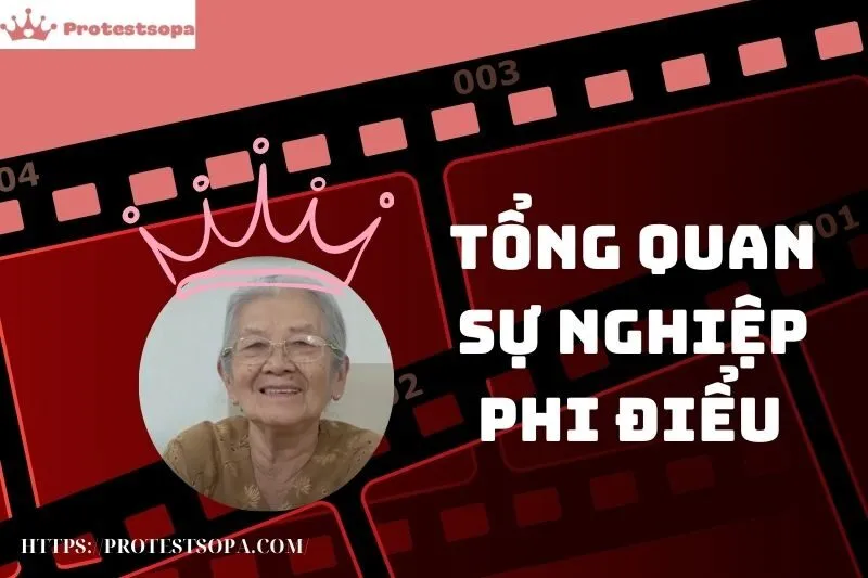 Tổng Quan Sự Nghiệp và Tiểu Sử Phi Điểu